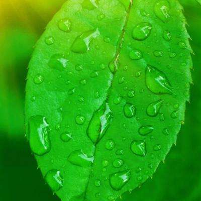 im电竞官方网站app下载